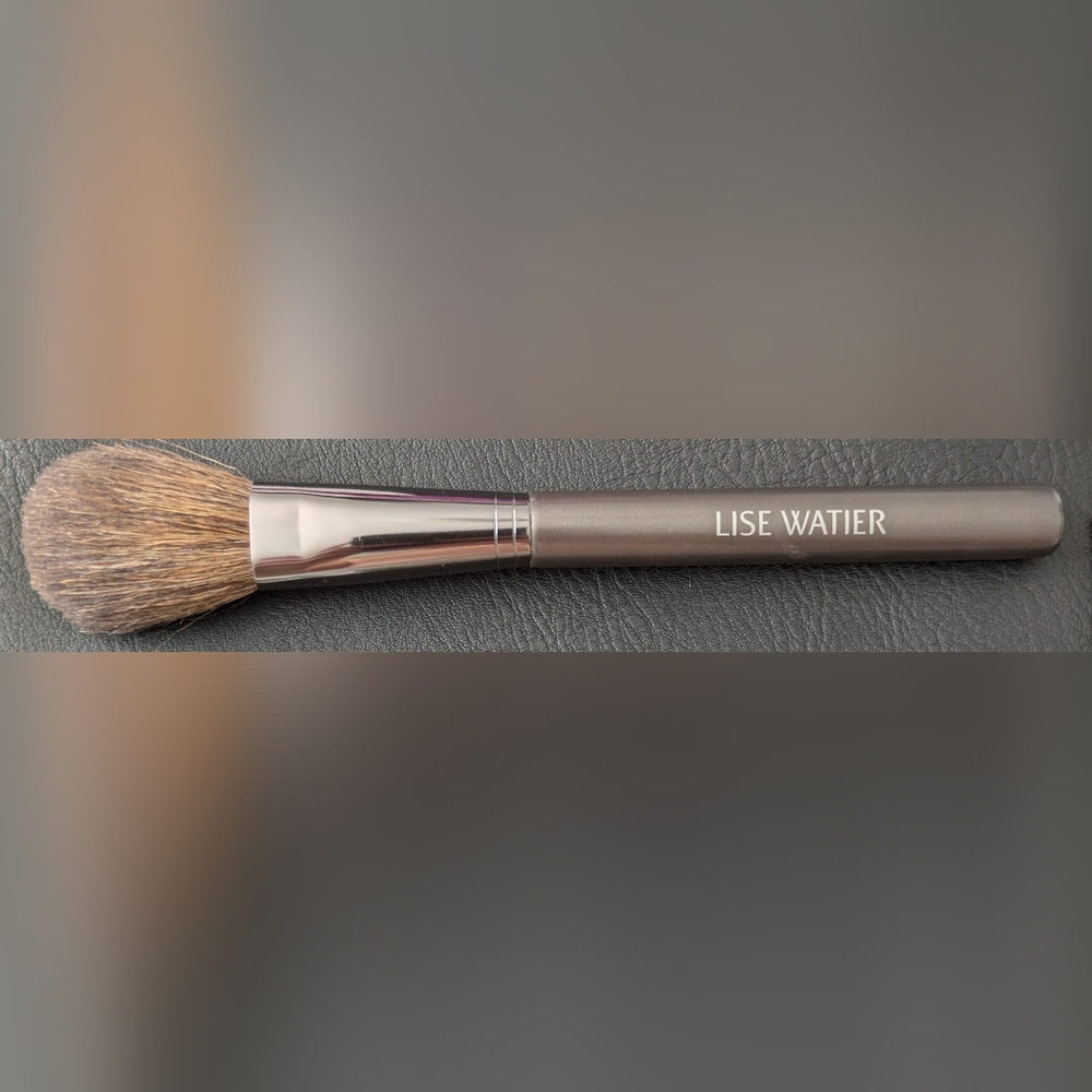 Blush Makeup Brush